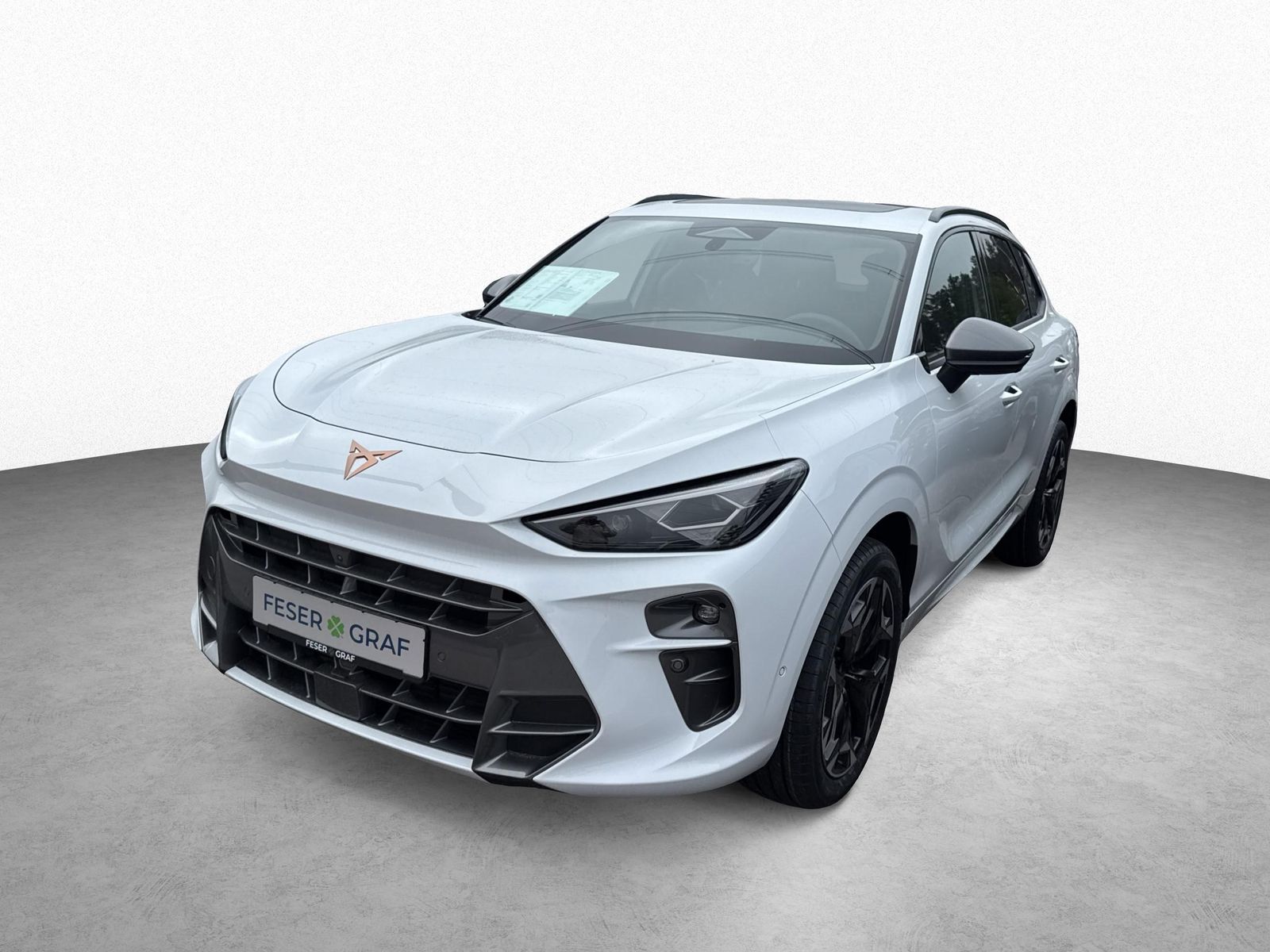 Cupra Terramar - Bild 16