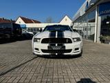 Ford Mustang3.7Ltr*SHELBY.LPG*Prem.pak.20zoll,Kamera - Ford: Sportwagen, Ka