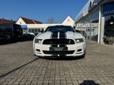 Ford Mustang3.7Ltr*SHELBY.LPG*Prem.pak.20zoll,Kamera - Ford: Weiß, Ka