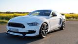 Ford Mustang 2.3L Ecoboost,US-Modell,Shelby-350 Optik - : Sportwagen, Us