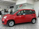 Fiat Panda 1.2 Easy, 1.Hand, Klima, PDC, HU neu ! - gebrauchte Fiat Panda aus dem Jahr 2016