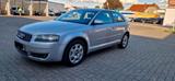 Audi AUDI A3 WAHLW AUDI S3 1.6L*KLIMATRONIK* - Audi A3 aus 2004: 1.6