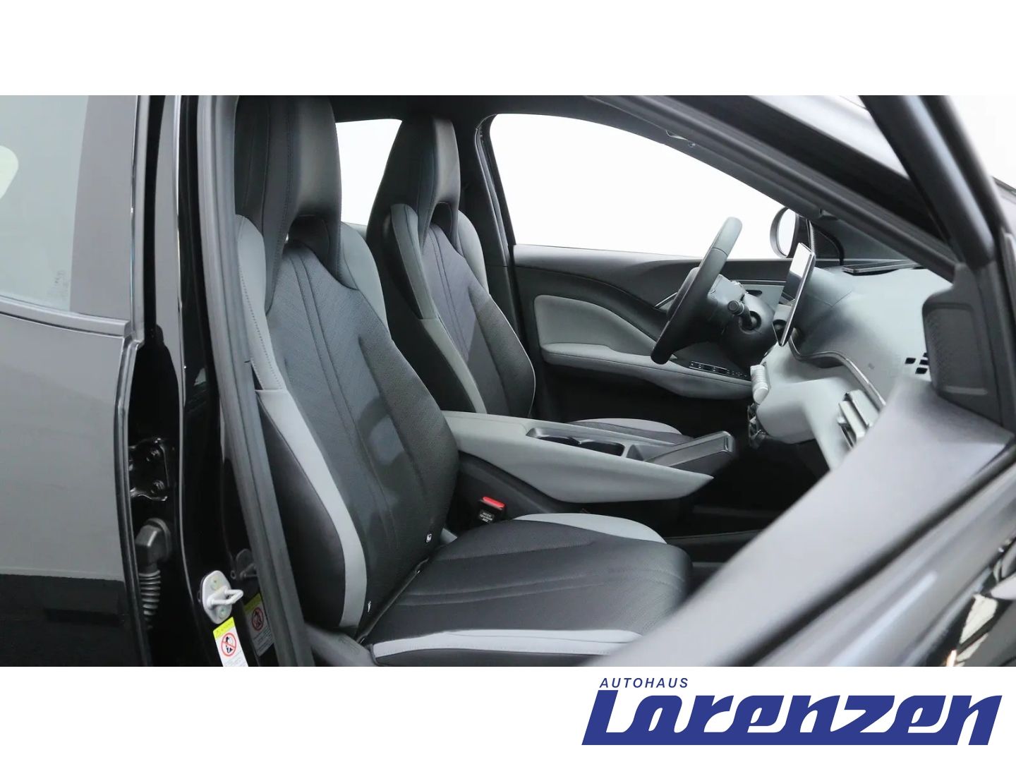 BYD DOLPHIN SURF