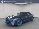 Ford Mustang Convertible 5.0 Ti-VCT V8 Aut. GT 330 kW - Ford Mustang Gebrauchtwagen in Frankfurt