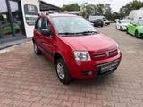 Fiat Panda 1.3 JTD 70 PS Climbing 4X4 Klima - Fiat Panda in Oberhausen
