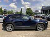Mazda CX-30 1.8 D Selection Design-Paket Matrix-LED Se - Mazda Gebrauchtwagen in Erfurt
