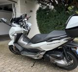 Honda Forza 300, ABS, Thermoscud, Topcase, neue Reifen - Offers matching your search criteria