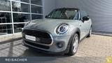 MINI Cooper Cabrio, Leder, NAVI, LED, DAB, - MINI Cooper aus 2019