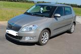 Skoda Fabia 1.6l TDI 66kW Active Active - Skoda Fabia mit Diesel-Antrieb: 1.6