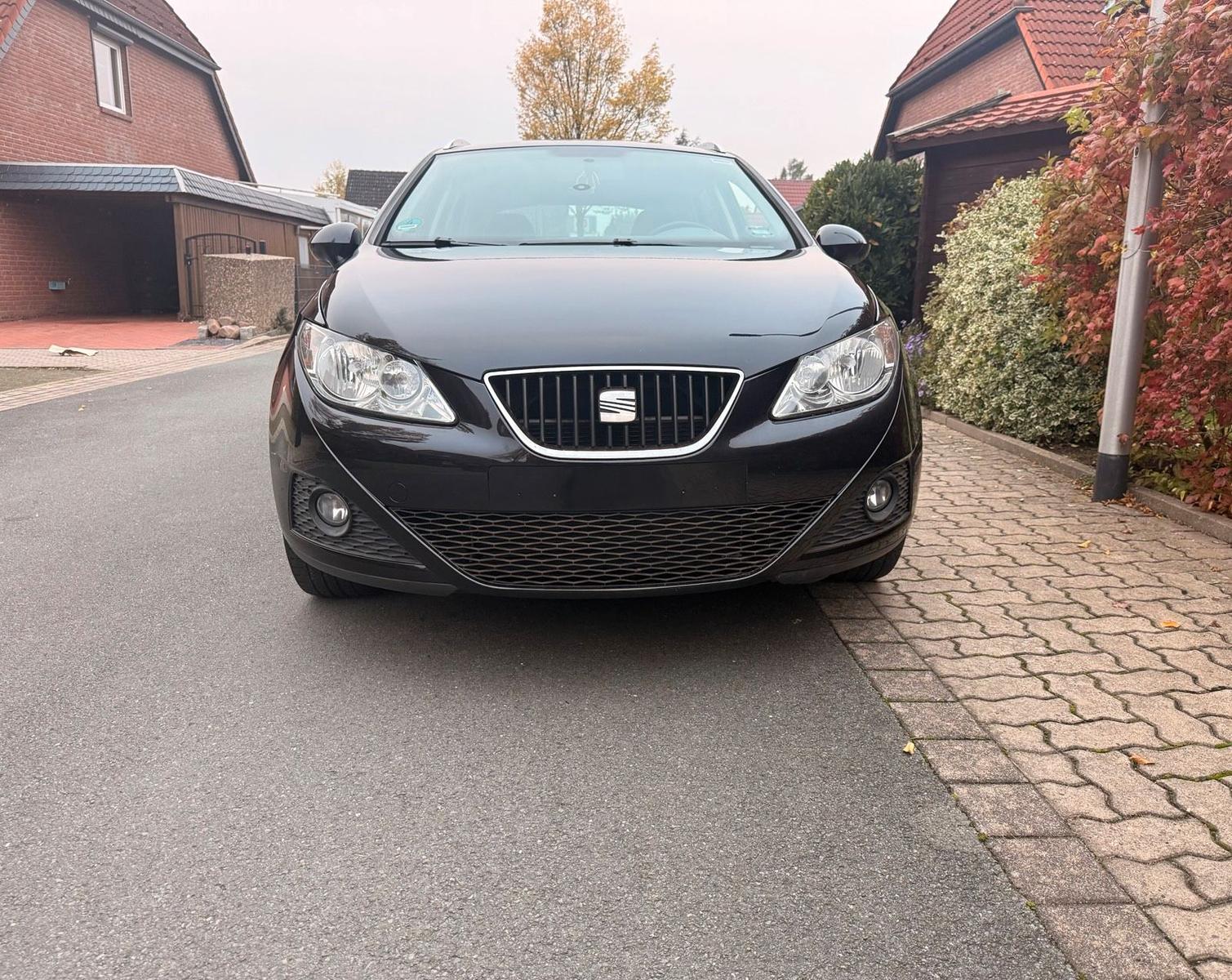 Seat Ibiza, 2010