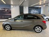 Mercedes-Benz B 220 4Ma SPORTPAKET AUT/LEDER/PTS/SHZ/PSD/TW/XE - mit Benzin-Antrieb: Allradantrieb, Kleinwagen