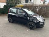 Fiat Panda  - Fiat Panda: Schwarz