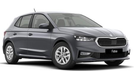 Skoda Fabia IV 1.0 TSI DSG Selection AHK/5 J Garantie