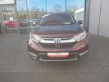 Honda CR-V 2.0 i-MMD HYBRID 4WD Elegance Navi/LED - Honda aus 2021