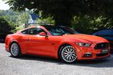 Ford Mustang GT 5.0 V8 Ti-VCT Fastback/Premium/KAM/LE - Ford Mustang: Fastback