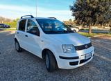 Fiat Panda 1.3 MJT 16V DPF Active - Fiat Panda Active mit Diesel-Antrieb
