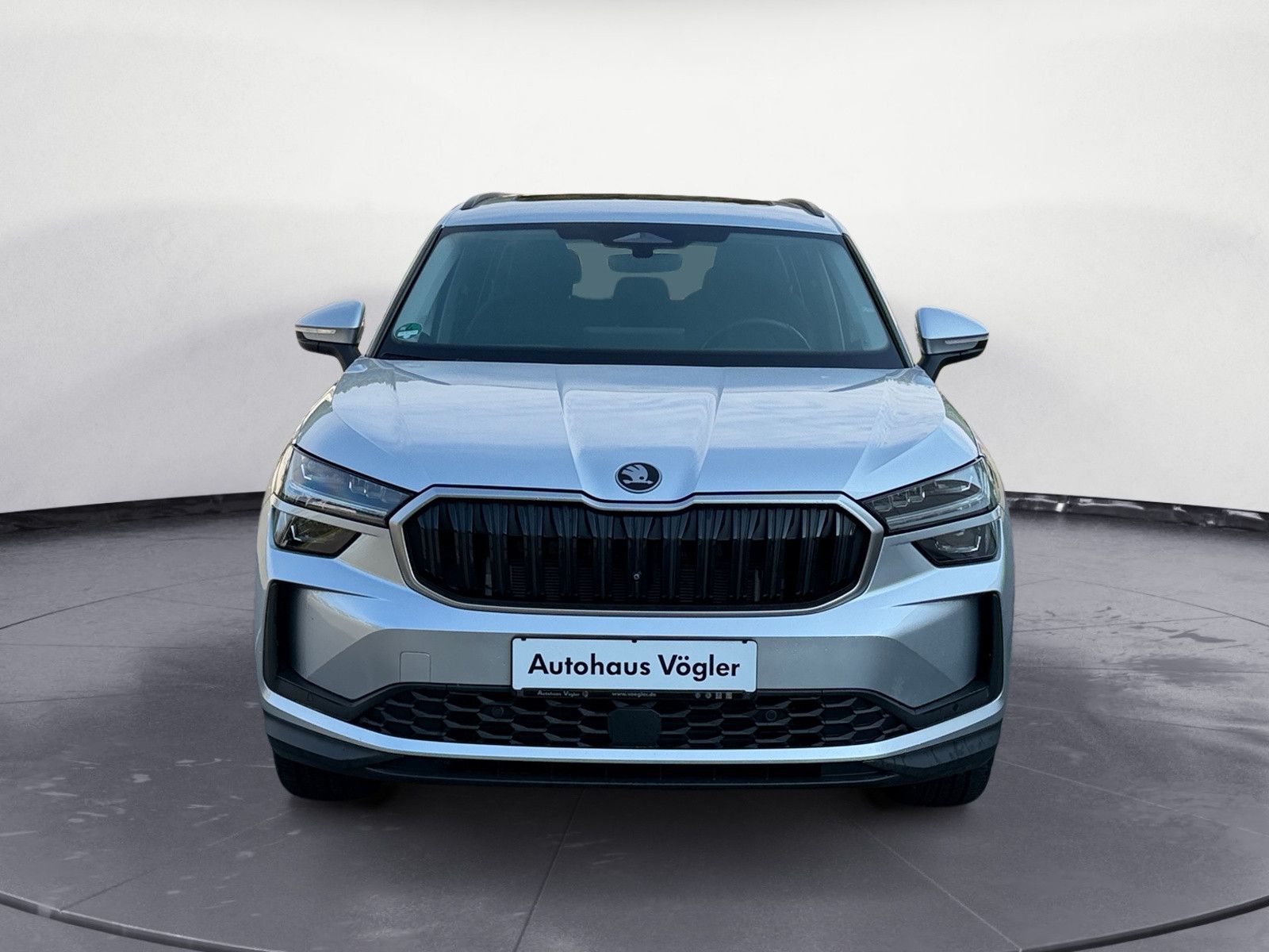 Kodiaq 2,0 TDI 4x4 Leder AHK Canton Matrix ACC