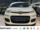 Fiat Panda Base 1.0 DAB+ USB Allwetterreifen - gebrauchte Fiat Panda aus dem Jahr 2021