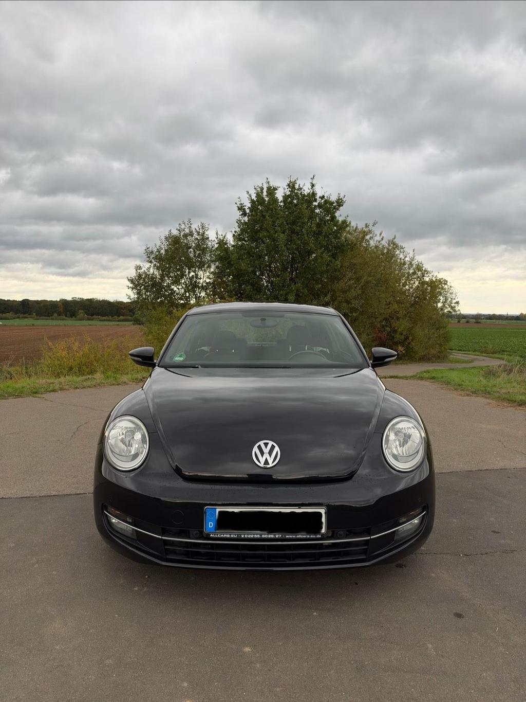 Volkswagen VW Beetle 1.6TDI/HU NEU/TOP ZUSTAND/PDC/KLIMA