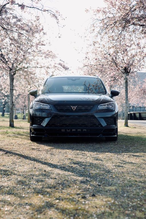 Image of Cupra Ateca