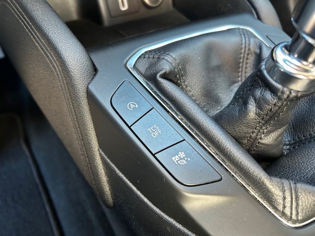 Focus Titanium Turnier*