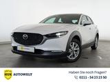 Mazda CX-30 2.0 SKYACTIV-G MHEV Selection 2WD LED+NAVI - gebrauchte Mazda CX-30 aus dem Jahr 2022