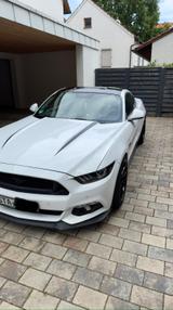 Ford Mustang 5.0 Ti-VCT V8 GT - weiße Ford Mustang