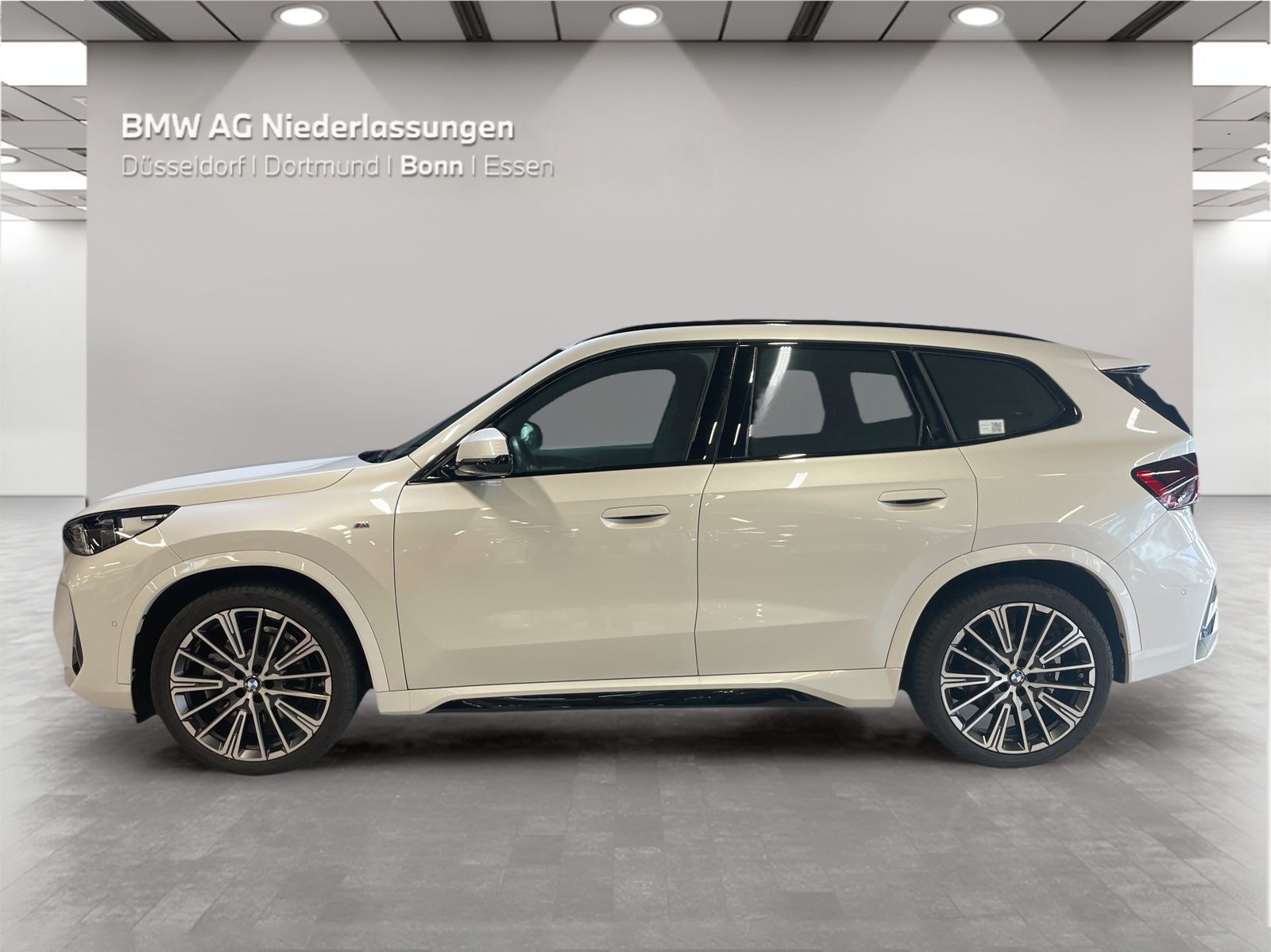 BMW X1 xDrive23d M Sport AHK Driv.Assist.Prof LED foto 3