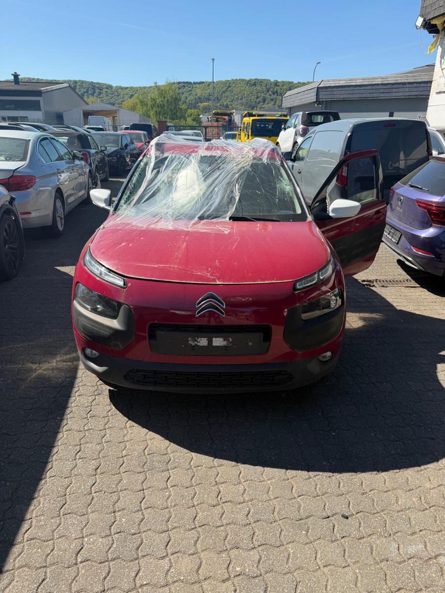 Citroën C4 Cactus Shine Edition