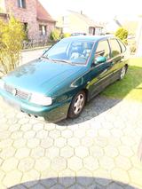 Volkswagen VW Polo Classic 1,6 75 PS mit Lederausstat... - Volkswagen Polo: Classic