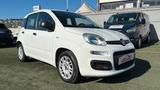 Fiat Panda 1.2 312PXA1A | BENZINA| 169A4000 CC 1 - Fiat Panda 169