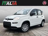 Fiat Panda 1.0 GSE Hybrid *City Paket* - Fiat Panda New cars