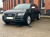 Audi SQ5 3.0 TDI competition tiptronic quattro - - Audi SQ5 in Bochum