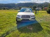 Subaru Forester 2.0X Active Active - Subaru Forester mit Benzin-Antrieb: Active