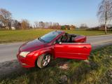 Ford Focus CC 1,6 Cabrio Rot - Ford Focus: Cc