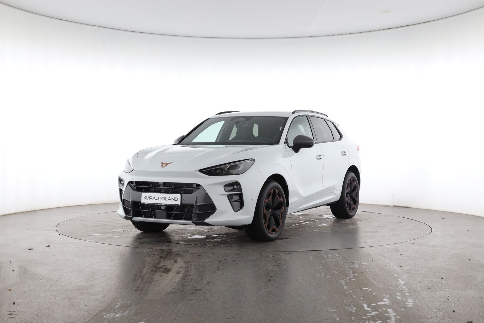 Cupra Terramar - Bild 2