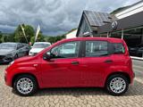 Fiat Pandina 1.0 GSE Hybrid 48 kW Icon - rote Fiat New Panda