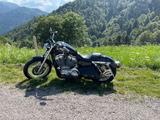 Harley-Davidson 883 XL SPORTSTER  - HARLEY-DAVIDSON 2009 883