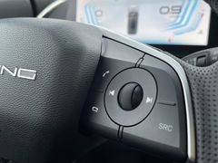 BAIC Beijing X55 PANO Leder CarPlay SHZ 360°Kamera TP