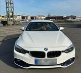 BMW 420i Cabrio/Alpinweiß/Leder Braun/LED/Automatik - BMW 420 in Wiesbaden