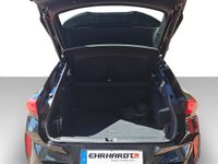 Cupra Terramar - Vorschau Bild 11