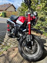 Honda Monkey 125 - HONDA MONKEY 125