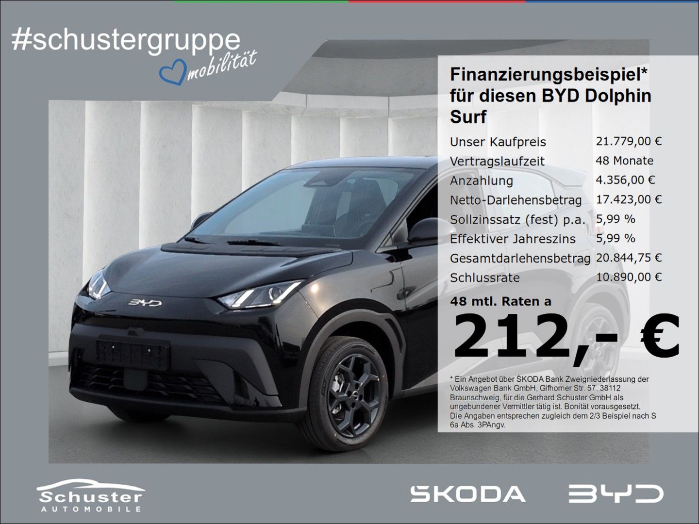BYD DOLPHIN SURF