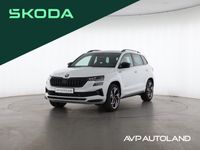 Skoda Karoq - Vorschau Bild 1