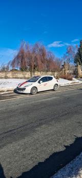 Peugeot 207 Le Mans Series 150 THP Le Mans Series - Peugeot 207: 150 Thp