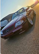 Mercedes-Benz SL 500  Liebhaberfahrzeug 