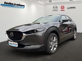 Mazda CX-30 e-SKYACTIV-G 140 AT Exclusive-Line Bose/Ma