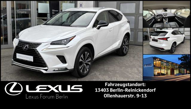 Lexus NX300h Style Edition