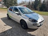 Fiat Punto 1.2 gepflegt - Fiat Punto von privat