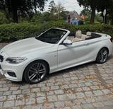 BMW 225d M Sport/top ausgestattet/ 224PS/ Frisch Tüv - BMW 2er-Reihe F22 mit Diesel-Antrieb